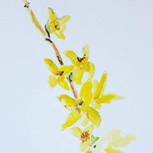 Load image into Gallery viewer, Forsythia branch watercolour painting