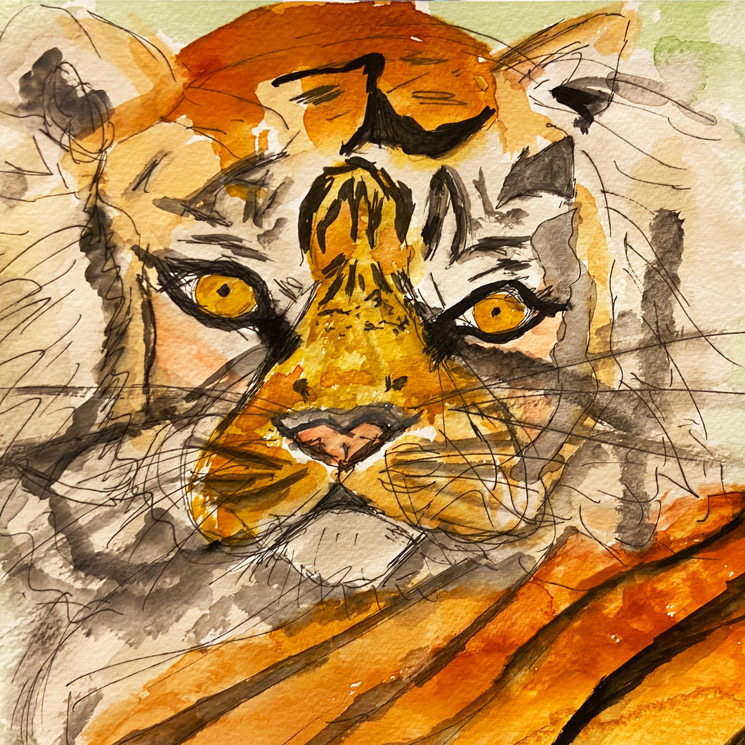 Vibrant tiger watercolour painting with fineliner details