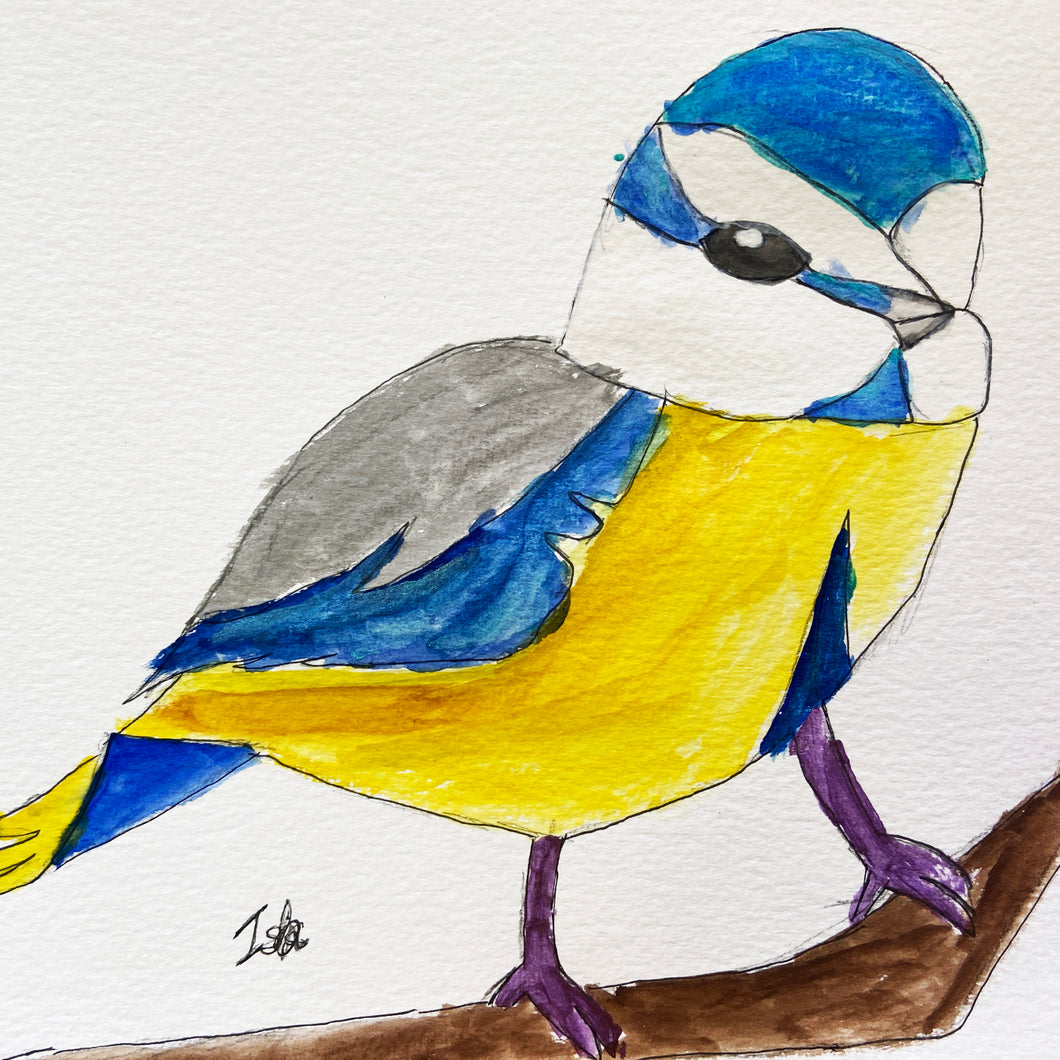 Watercolour painting of a garden bird