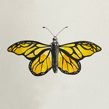Load image into Gallery viewer, Watercolour painting of a butterfly