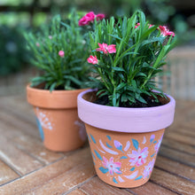 Load image into Gallery viewer, Handpainted terracotta pots