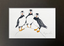 Load image into Gallery viewer, Puffins giclée print with watercolour detail by Suzanne Pink in a black mount