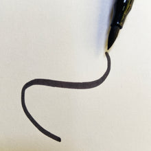 Load image into Gallery viewer, Dual tip pen showing brush end