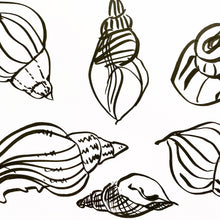 Load image into Gallery viewer, Brush pen shell drawings
