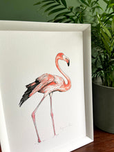 Load image into Gallery viewer, Flamingo giclée print with handpainted watercolour plumage, in a white frame, standing on a wooden surface. Green wall behind. Pot plant standing next to it.