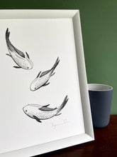 Load image into Gallery viewer, Three hikarimuji koi in a white frame with green wall background and standing on a wooden surface. Grey pot sits next to the frame.