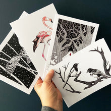 Load image into Gallery viewer, Greetings cards pack of four. Swooping owl., Flamingo, Red Riding Hood and Joy