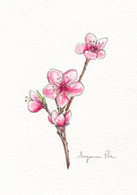 Load image into Gallery viewer, Handpainted cherry blossom design using fineliner, watercolour and white ink.
