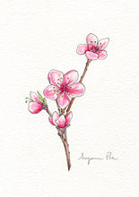 Load image into Gallery viewer, Handpainted cherry blossom design using fineliner, watercolour and white ink.