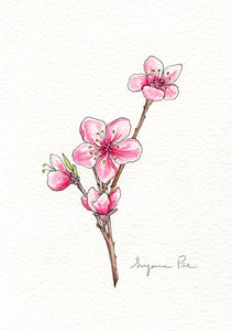 Handpainted cherry blossom design using fineliner, watercolour and white ink.