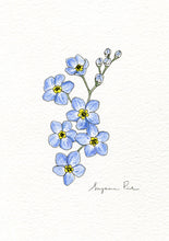 Load image into Gallery viewer, Handpainted forget-me-not design using fineliner, watercolour and white ink.