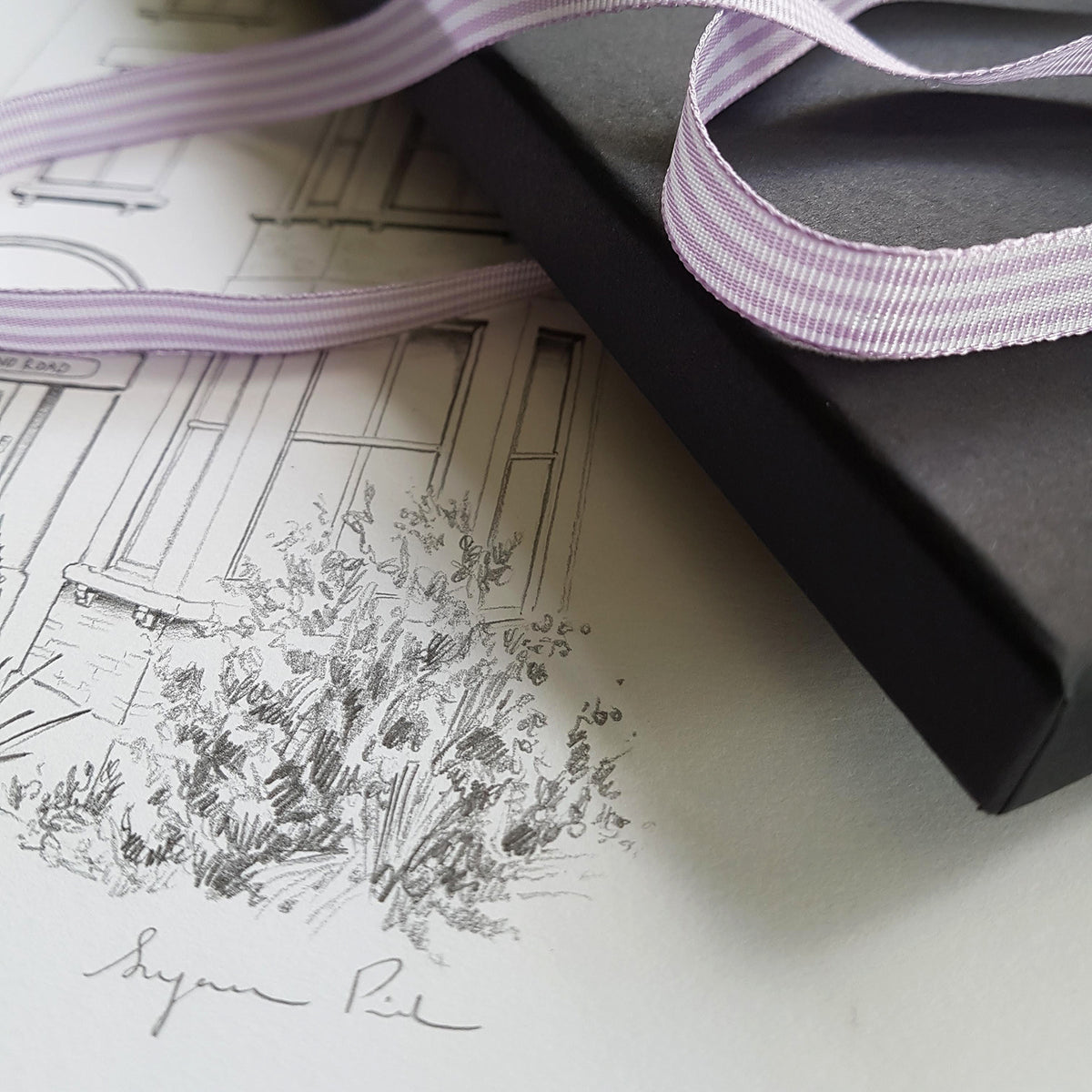 Commissions – Suzanne Pink