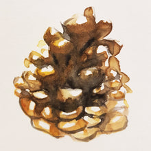 Load image into Gallery viewer, Watercolour pine cone painting
