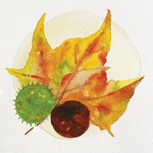 Load image into Gallery viewer, Autumn object watercolour study

