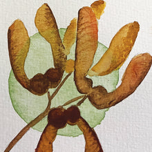 Load image into Gallery viewer, Sycamore painting
