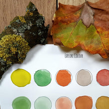 Load image into Gallery viewer, Colour swatches and natural objects
