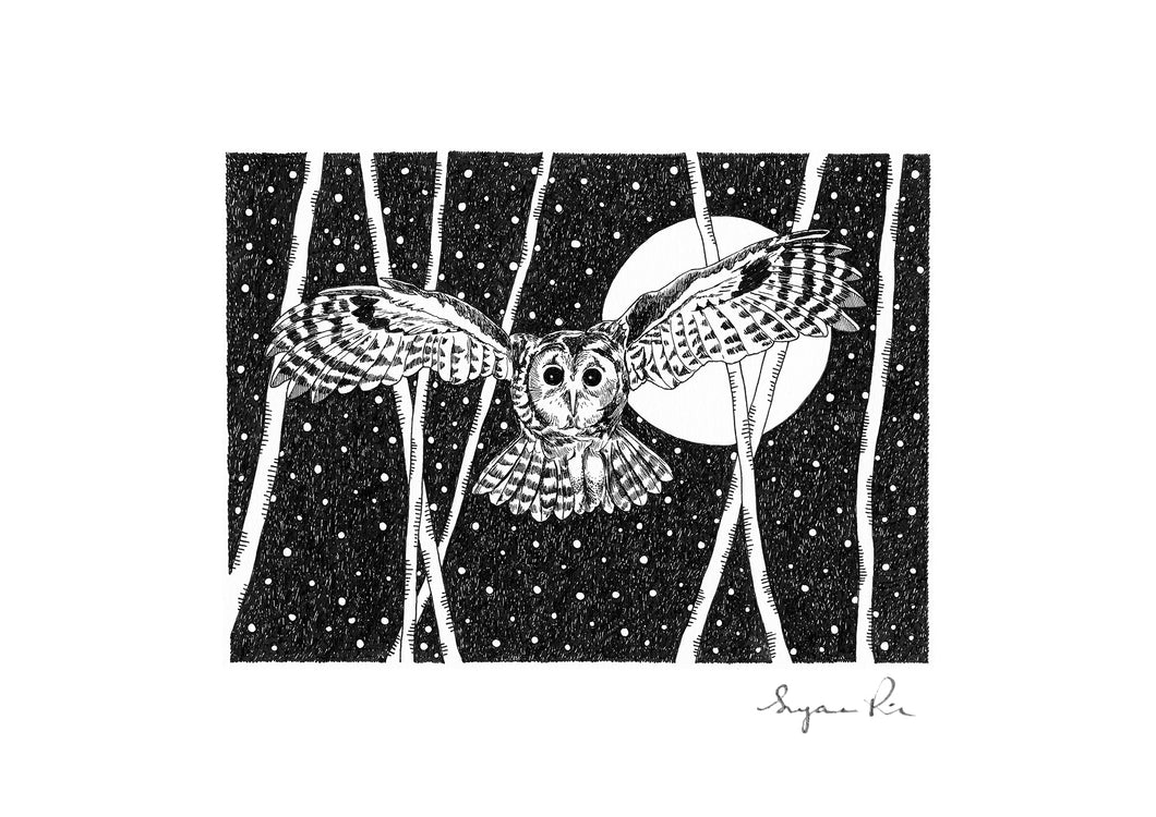 Owl giclée print based on an illustration by Suzanne Pink