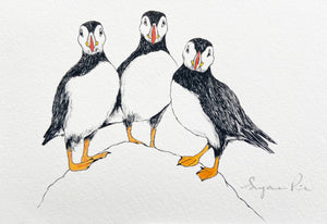 Puffins giclée print with watercolour detail by Suzanne Pink