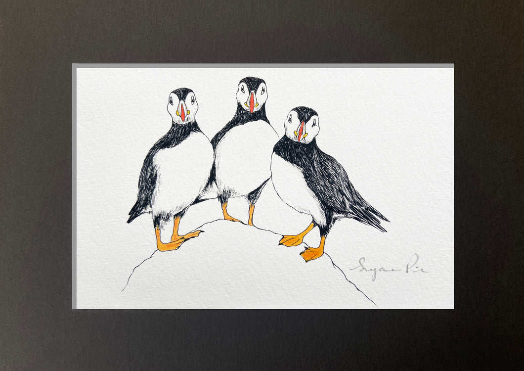 Puffins giclée print with watercolour detail by Suzanne Pink in a black mount
