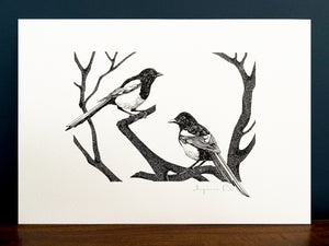 Two for joy magpies giclée print in a black frame, standing on a wooden surface with navy blue wall behind.