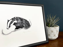 Load image into Gallery viewer, Badger giclée print in black frame on wooden surface. Navy blue wall behind and zebra haworthia in a pot beside.
