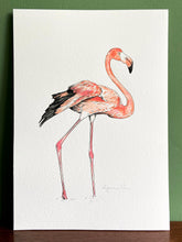Load image into Gallery viewer, Flamingo giclée print with handpainted watercolour plumage, in a white frame, standing on a wooden surface. Green wall behind.

