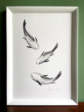 Load image into Gallery viewer, Three hikarimuji koi in a white frame with green wall background and standing on a wooden surface. 

