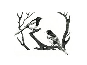 Two for joy magpies giclée print in monochrome.