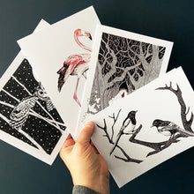 Load image into Gallery viewer, Greetings cards pack of four. Swooping owl., Flamingo, Red Riding Hood and Joy

