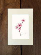 Load image into Gallery viewer, Handpainted cherry blossom design using fineliner, watercolour and white ink in an ivory mount on a wooden background.
