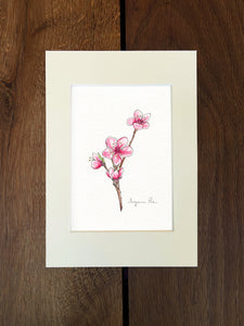 Handpainted cherry blossom design using fineliner, watercolour and white ink in an ivory mount on a wooden background.