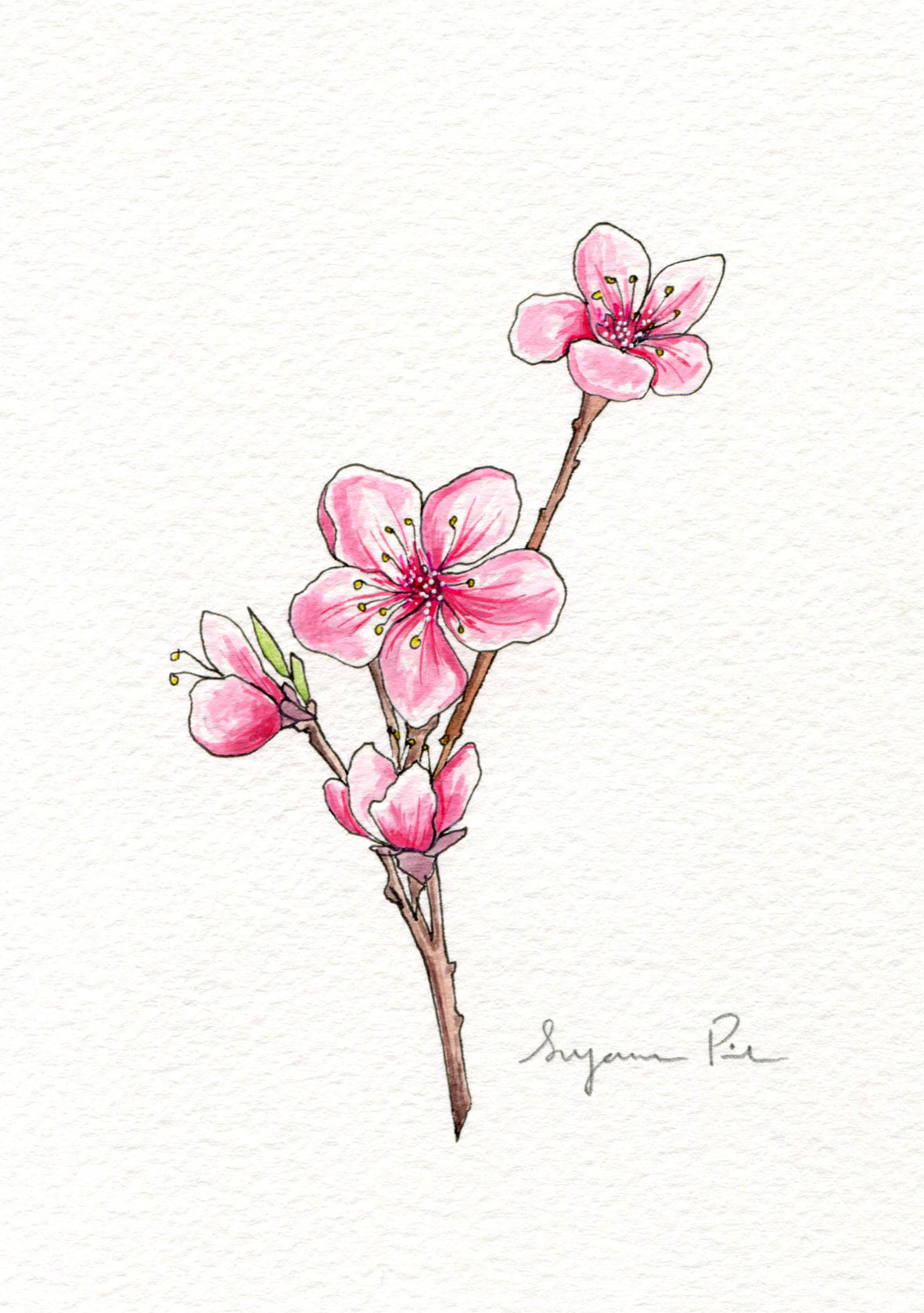 Original Cherry Blossom Painting