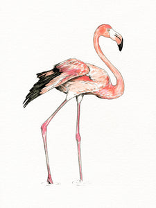 Flamingo giclée print with handpainted watercolour plumage.