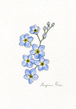 Load image into Gallery viewer, Handpainted forget-me-not design using fineliner, watercolour and white ink.
