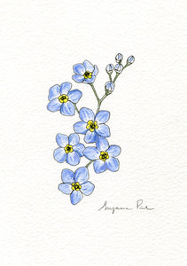 Handpainted forget-me-not design using fineliner, watercolour and white ink.
