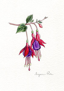 Handpainted fuchsia design using fineliner, watercolour and white ink.