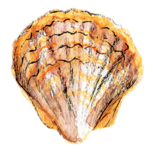 Load image into Gallery viewer, Yellow, orange and brown watercolour pencil shell with fineliner details
